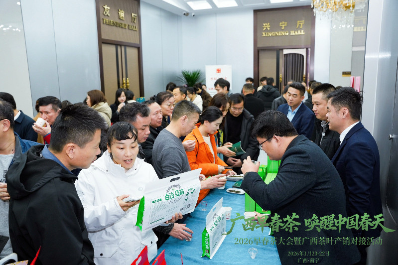 2026年广西新春茶市开启