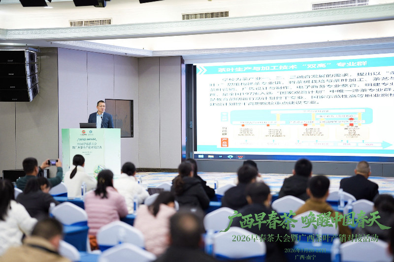 2026年广西新春茶市开启