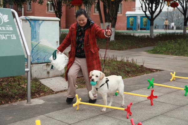 重庆北碚区开展创建全国文明城区暨文明养犬主题宣传活动