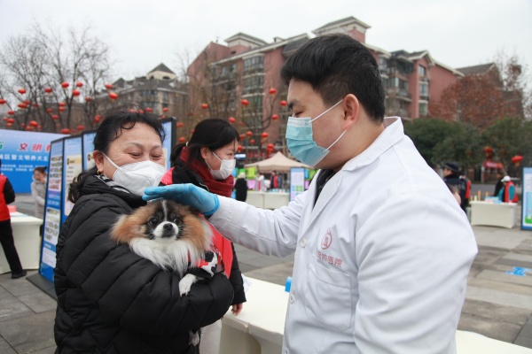 重庆北碚区开展创建全国文明城区暨文明养犬主题宣传活动