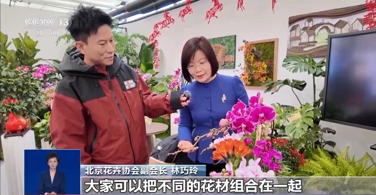 年宵花“花”式上新 年味“马上”来