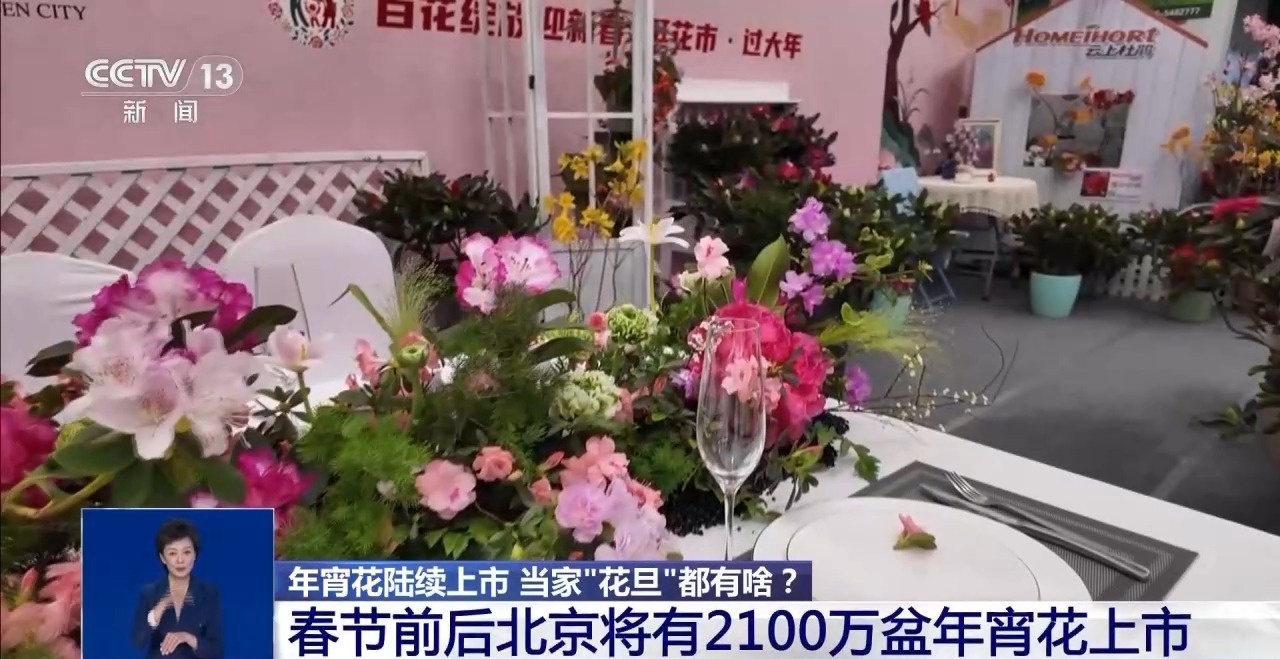 年宵花“花”式上新 年味“马上”来