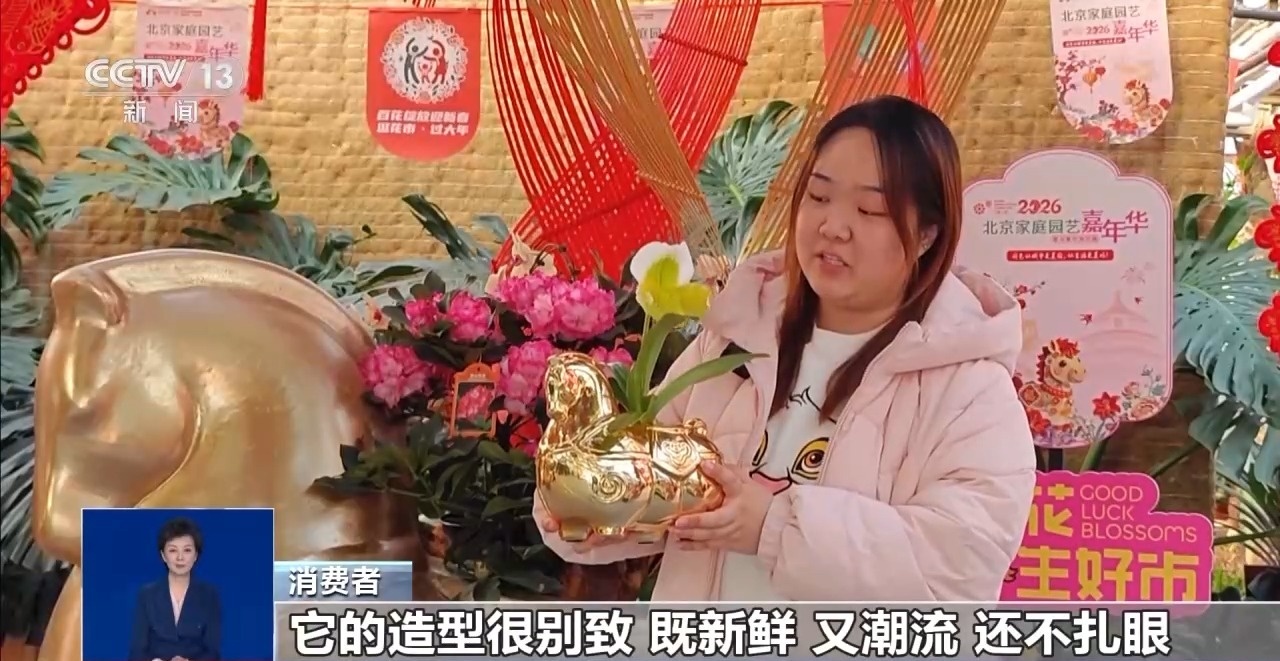 年宵花“花”式上新 年味“马上”来