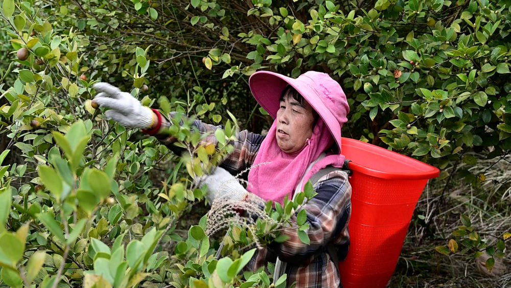 展示多彩文化 守护精神家园——贵州深入挖掘屯堡文化蕴含的时代价值