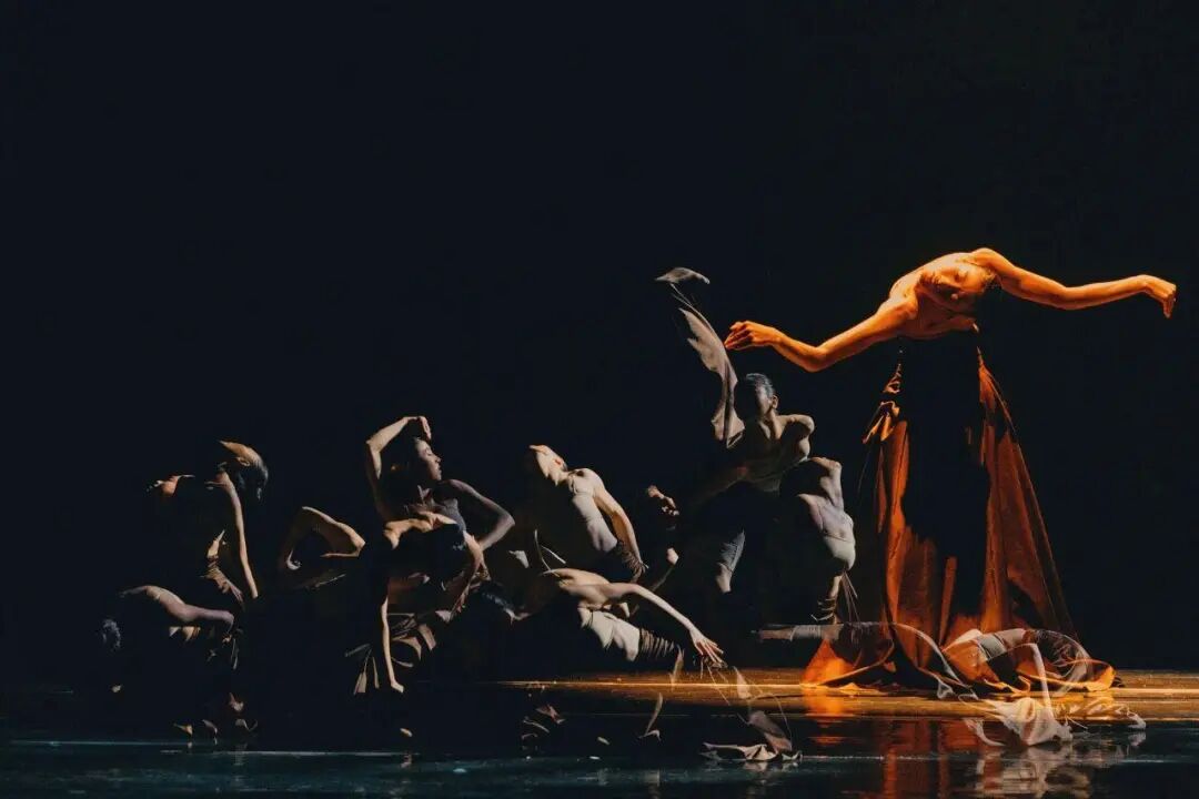 银川高级中学舞蹈作品亮相央视,获春晚推荐卡!