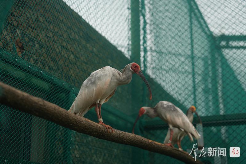 绿水青山映三秦