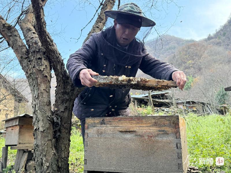 绿水青山映三秦