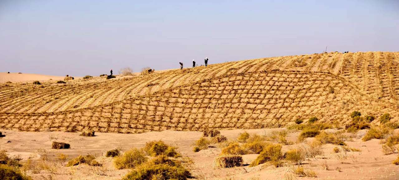 聚焦甘肃“两会”|这两所澳门中学，连续13年向甘肃民勤捐款治沙
