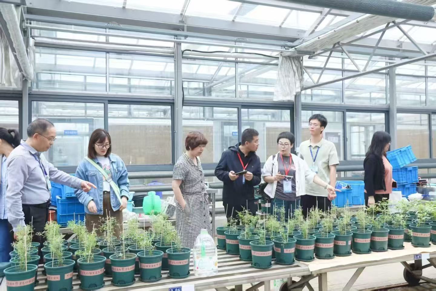 宁夏：吸引更多留学人才为产业发展贡献智慧