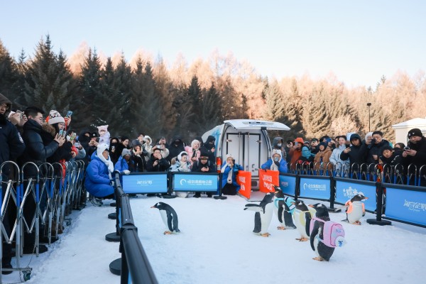 首届“伊春礼物”设计大赛暨文创市集活动成功举办