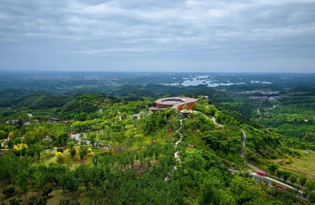 龙泉山,你为何如此优秀!