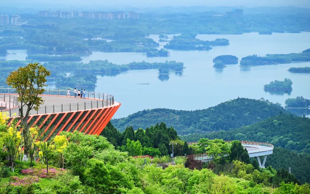 龙泉山,你为何如此优秀!