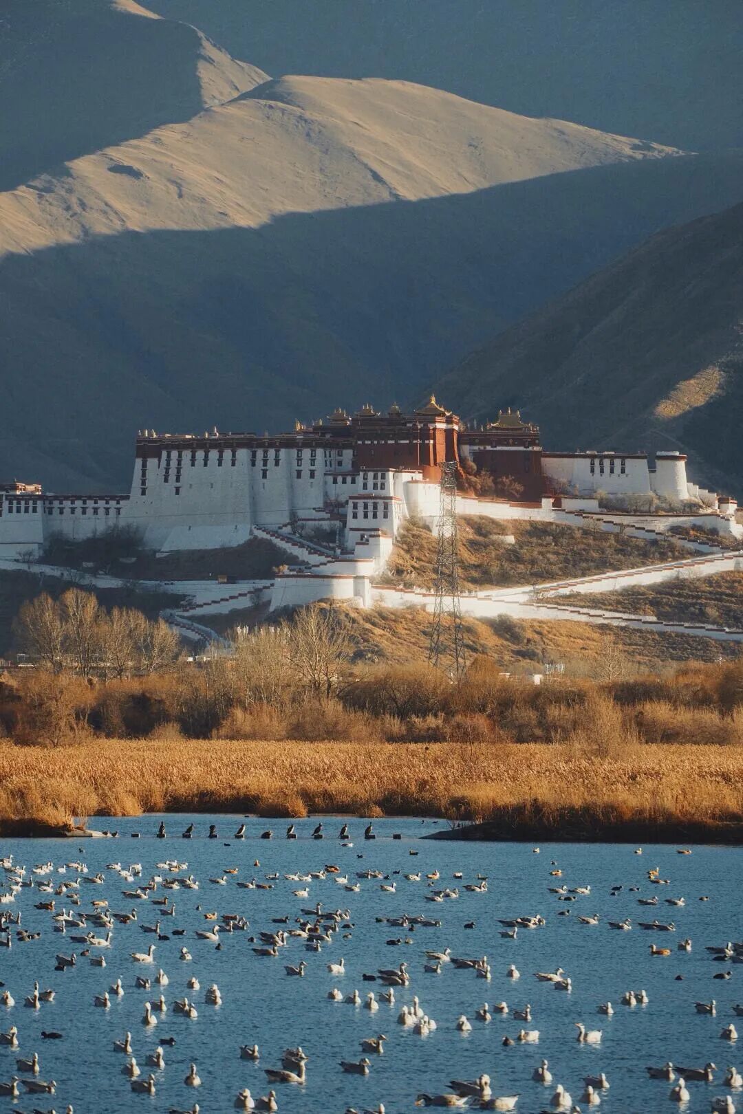 冬游拉萨,邂逅一场雪域暖阳的浪漫