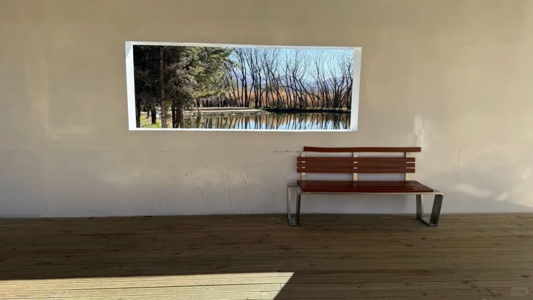 冬游拉萨,邂逅一场雪域暖阳的浪漫