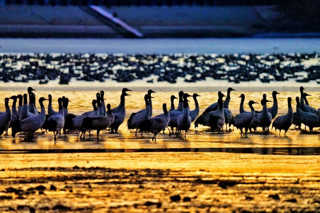 冬游拉萨,邂逅一场雪域暖阳的浪漫