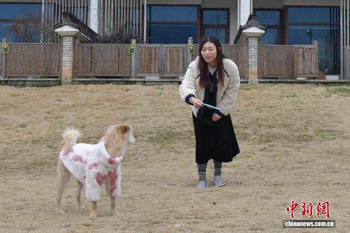 （新春见闻）安徽青阳：“宠物友好”激活县域旅游