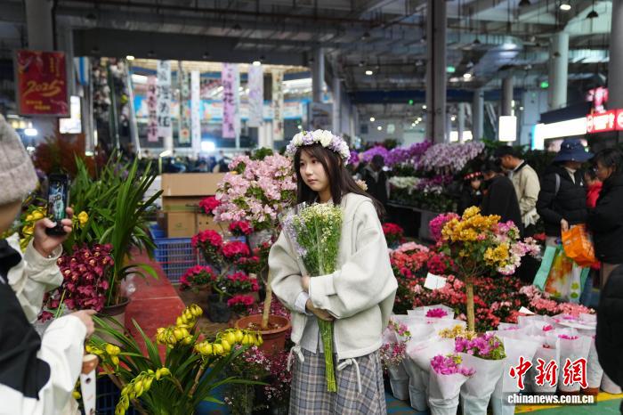 （新春见闻）昆明斗南花市周末人气旺