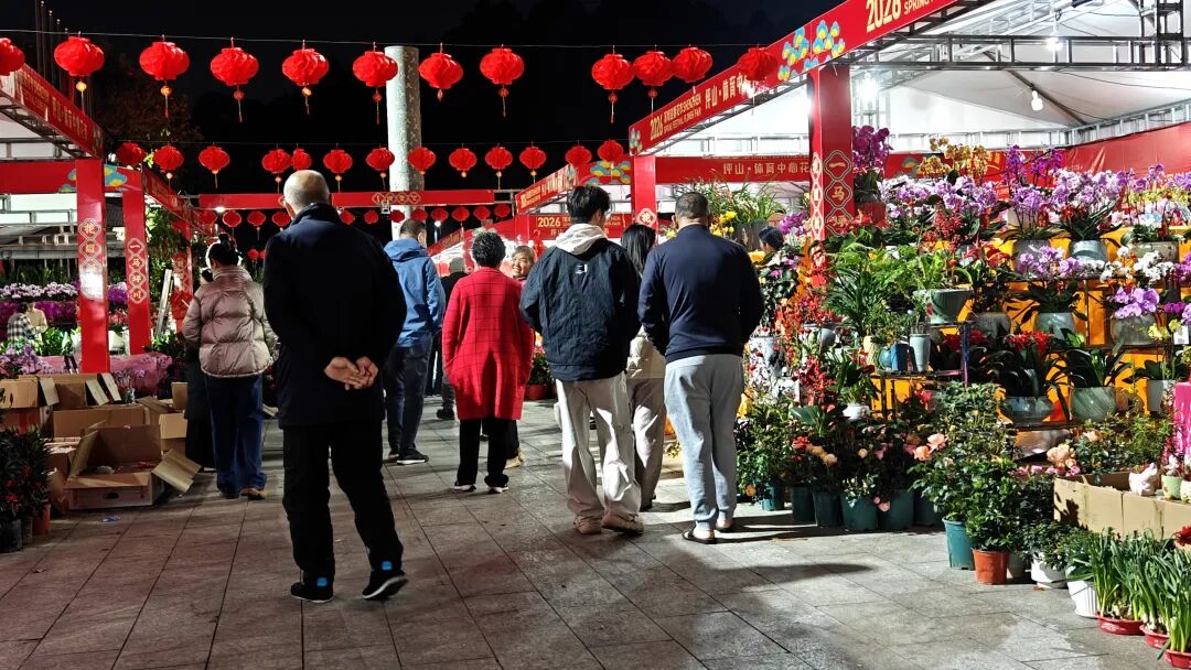 来坪山行花街啦 | 年味坪山