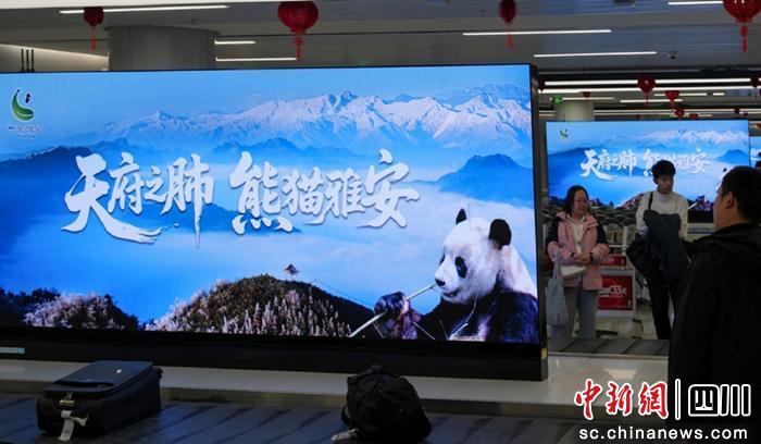 万米高空开启“雅安文旅沉浸式体验”之旅