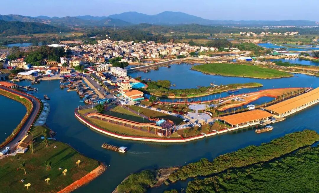 广货行天下| 阳西佳味:那茶,那蚝,那海鸭蛋……