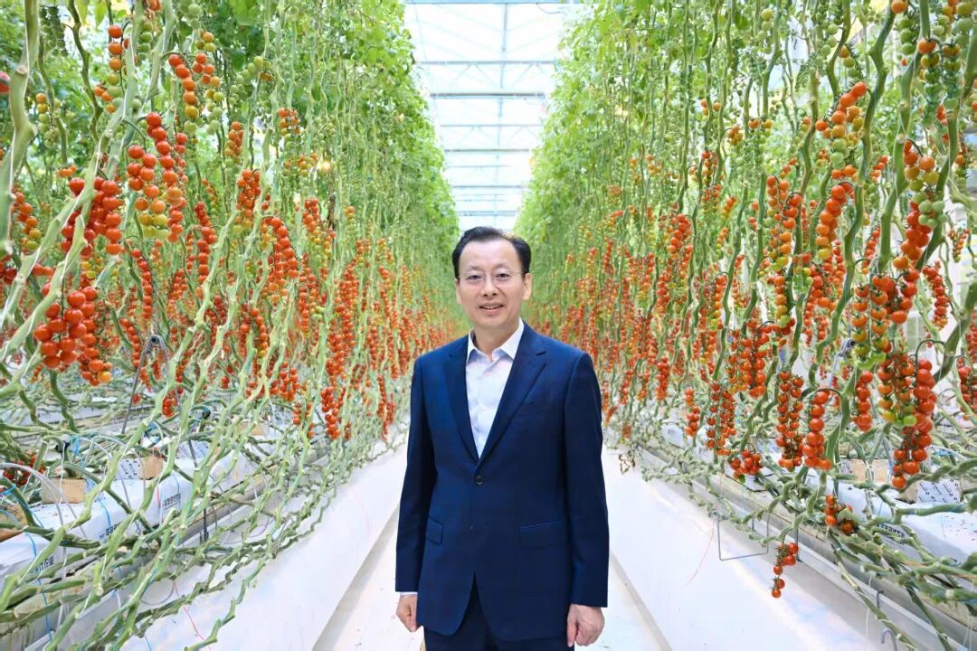 广货行天下| 阳西佳味:那茶,那蚝,那海鸭蛋……