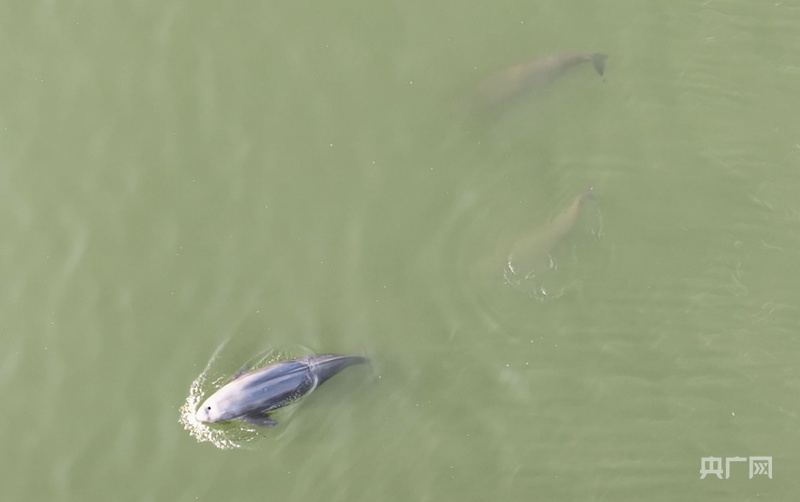 行稳致远开新局|攀“高”向“新”,何以成就“湘”当精彩?