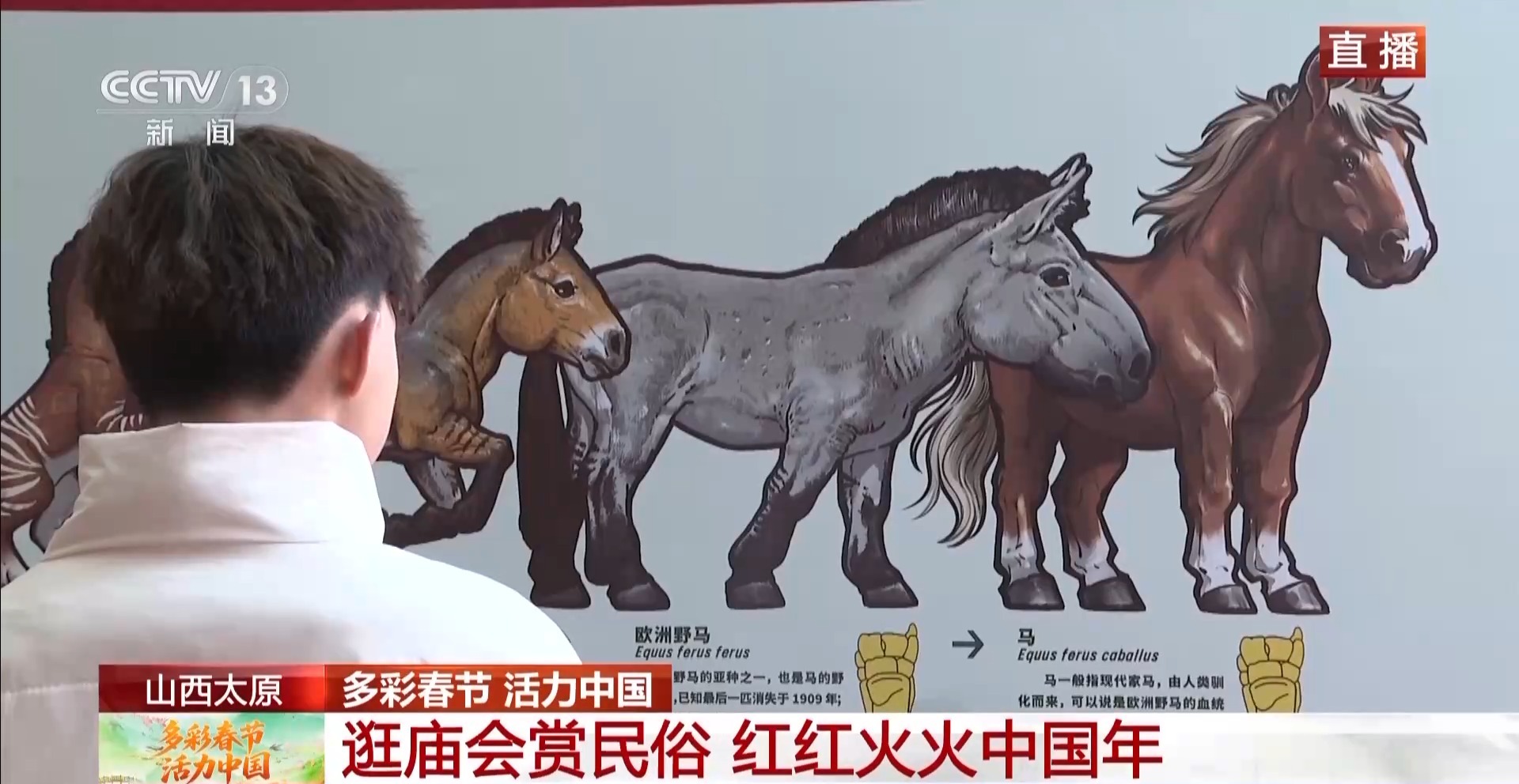 清徐背棍、划旱船、跳竹马 多彩民俗活动点燃红红火火中国年