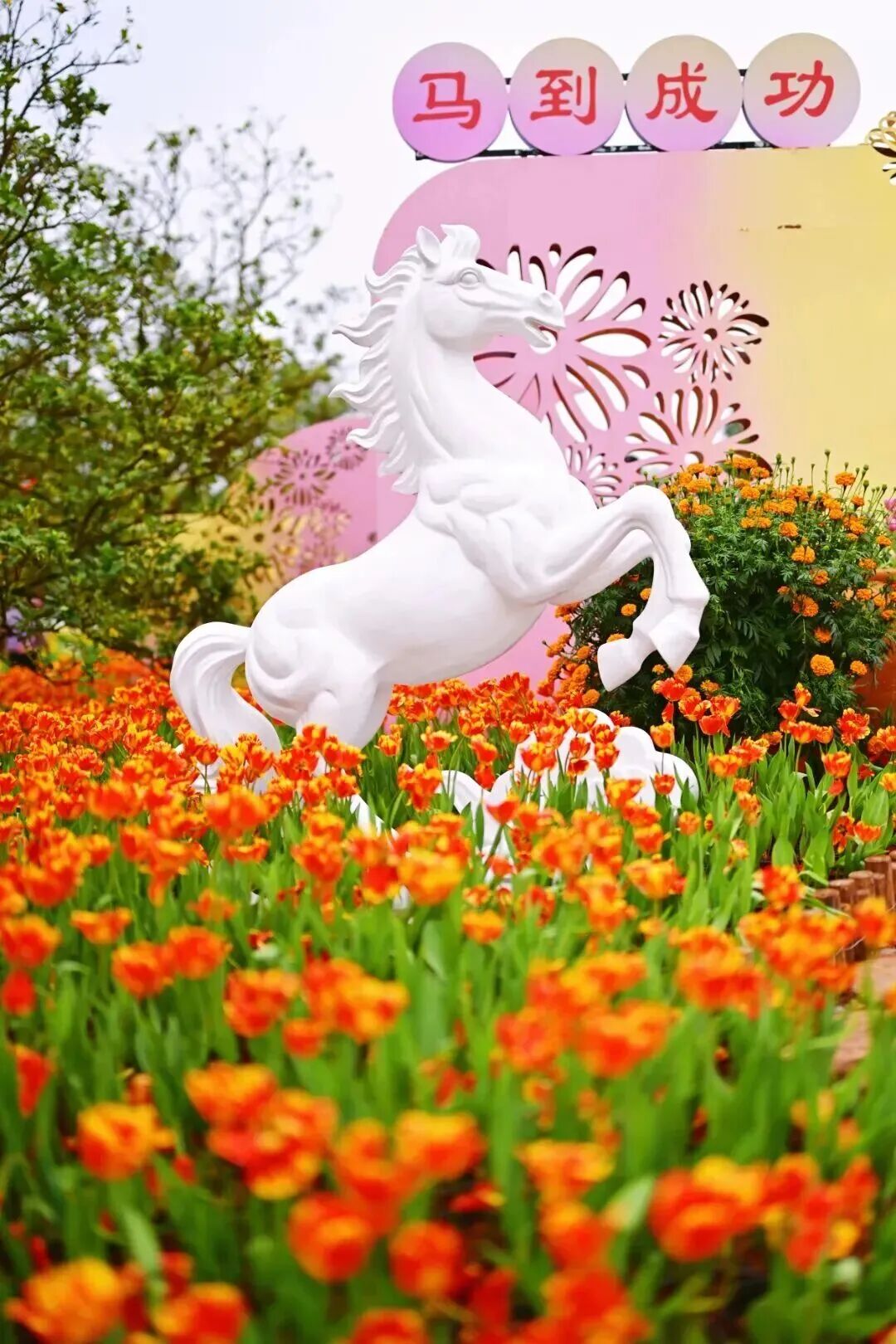 当民歌湖的波光遇见戏曲的韵味,华流就是顶流! 青秀山.jpg