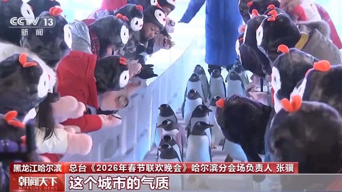 “科技+浪漫” 揭秘春晚哈尔滨梦幻“冰舞台”