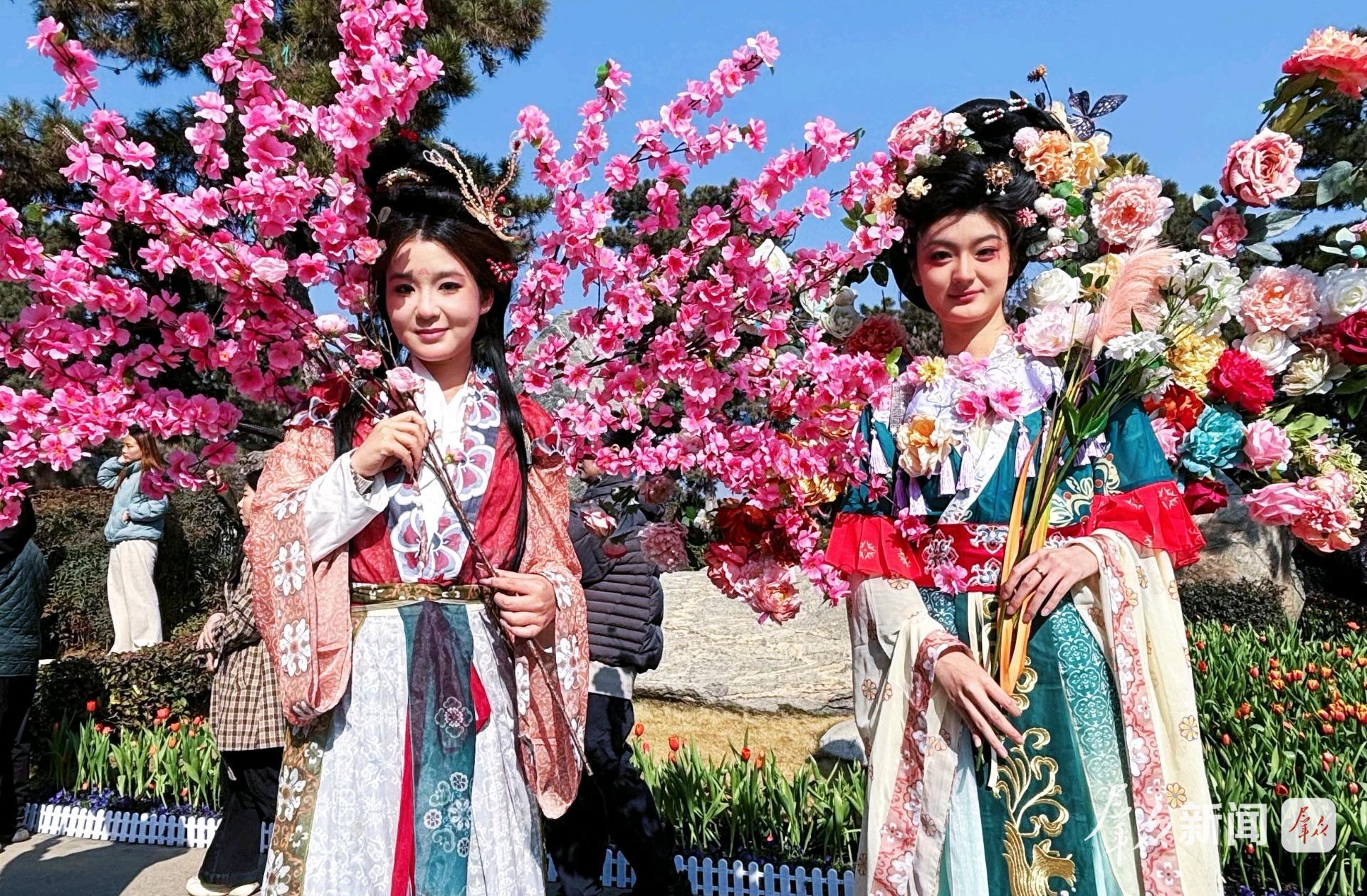 快来!20万株郁金香惊艳绽放中国唐苑 快来!20万株郁金香惊艳绽放中国唐苑