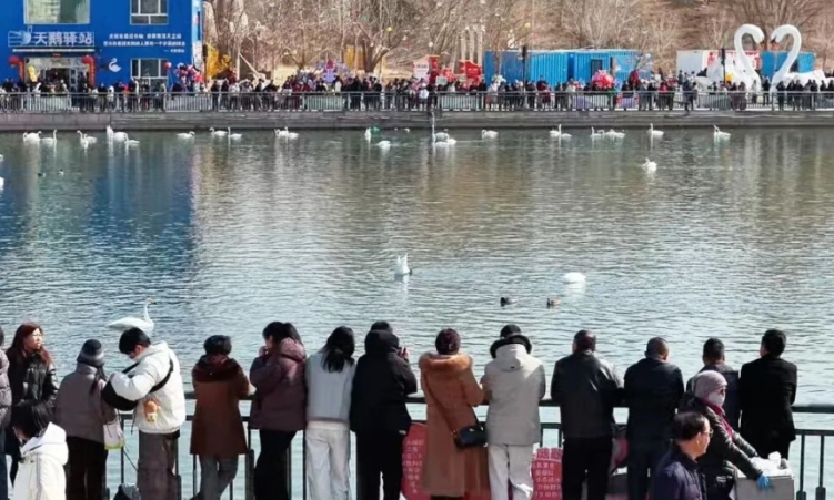 过年人潮已刷屏！新疆各地新年活动扎堆 满城都是人人人