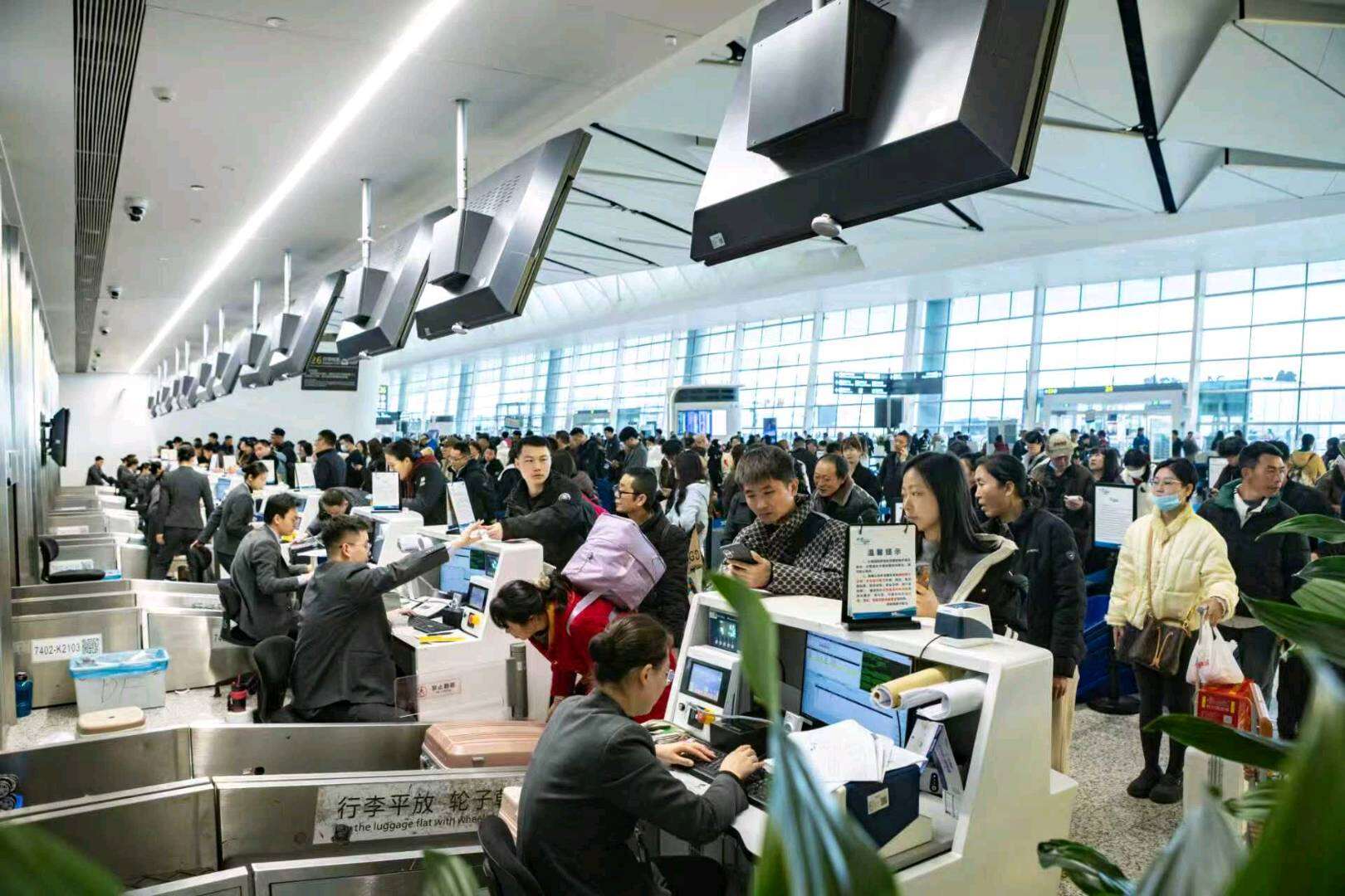 旅客吞吐量达264.5万人次 成都国际航空枢纽春节假期交出亮眼成绩单