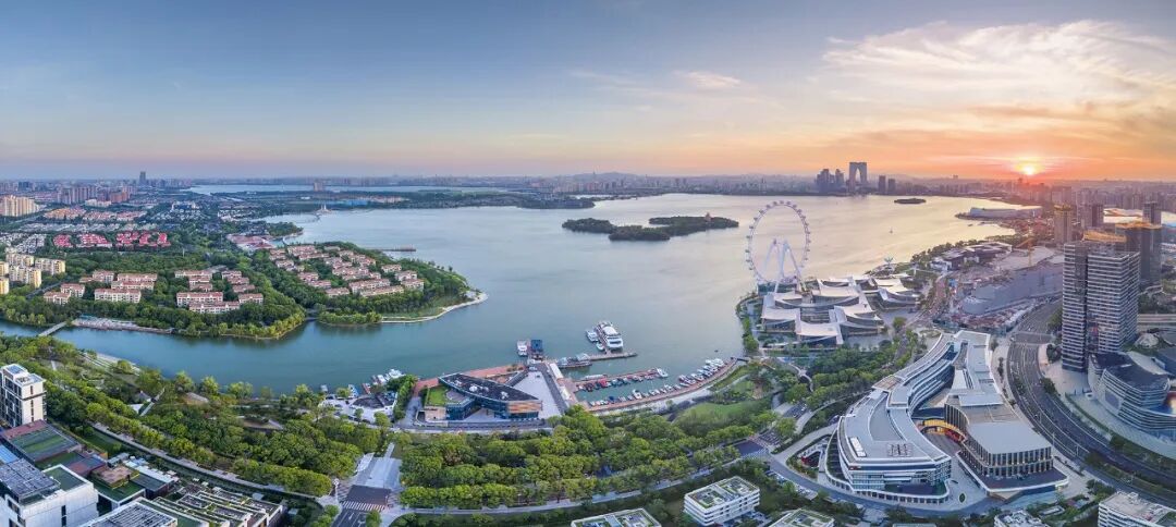 节后第一抓:招商!第一要:项目!