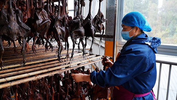 位于铜梁少云镇向阳村的重庆香即福农产品加工有限公司生产车间，工人正用专用的挂钩晾晒腊制品。通讯员 李拉拉 摄