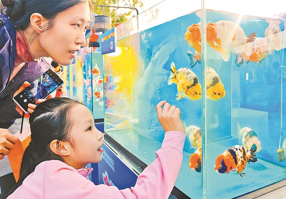 2026年“福州金鱼城市移动会客厅”新春三部曲收官之作在福州西湖公园举办