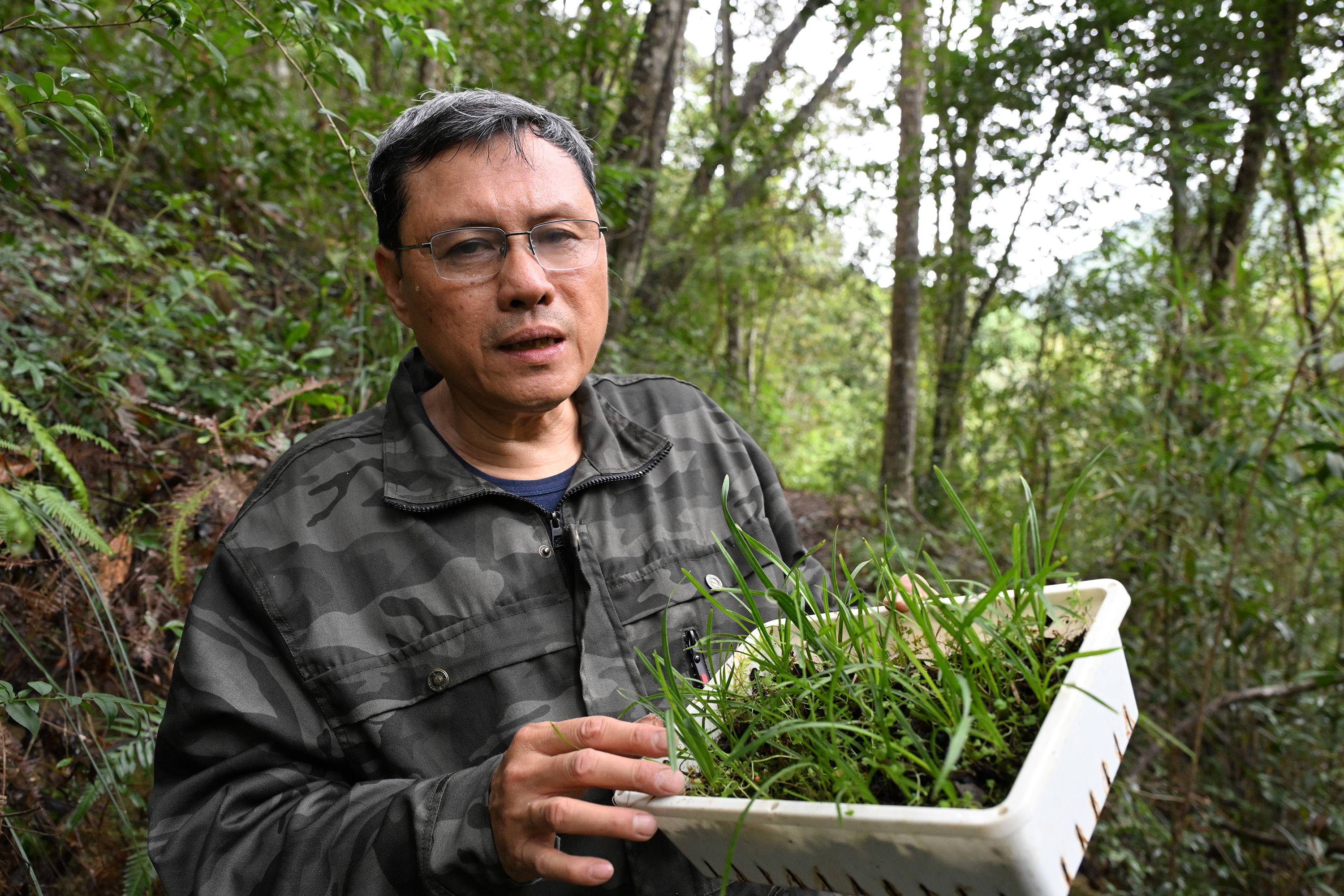 福建：喜迎“世界野生动植物日”，开展多花兰、血叶兰野外回归活动