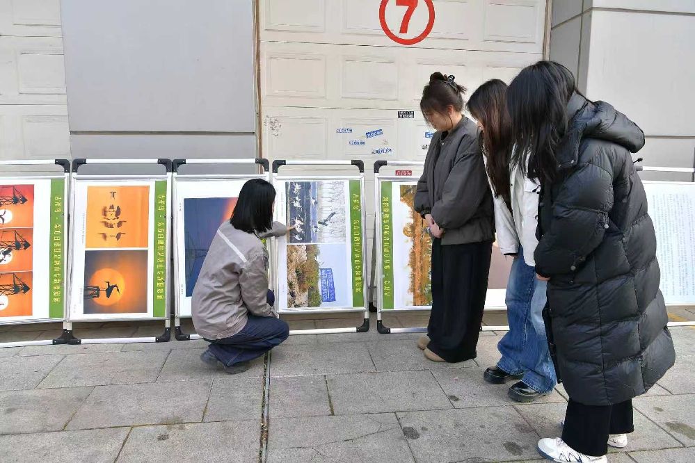 唐山丰南:护鸟宣传“春风”至 生态守护正当时