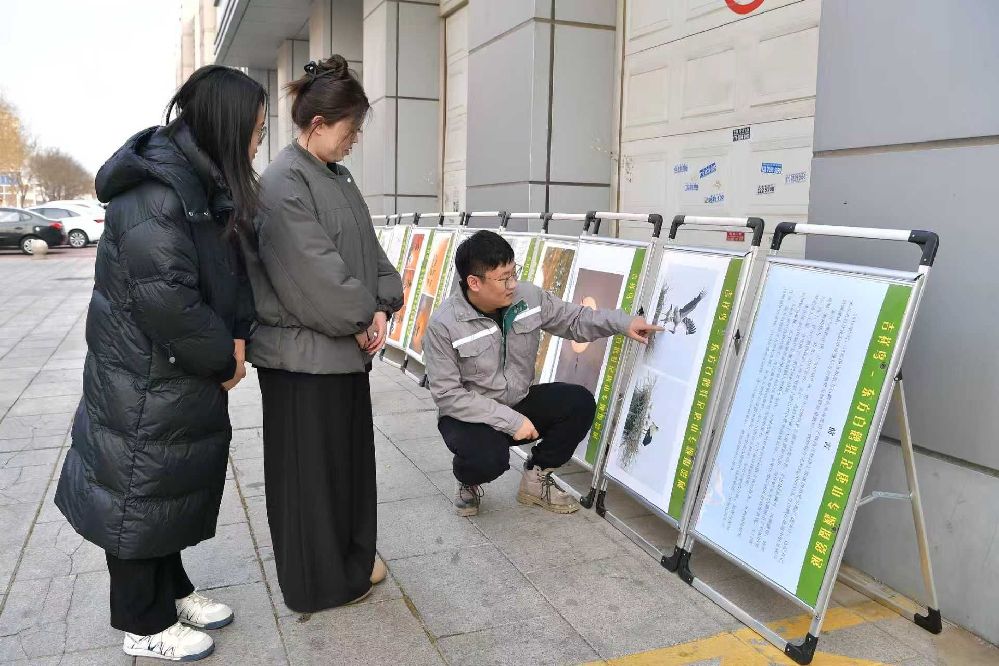 唐山丰南:护鸟宣传“春风”至 生态守护正当时