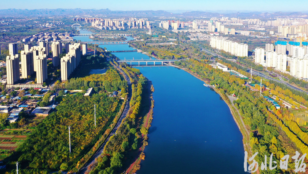 奋进的河北丨产业向绿 生态向美