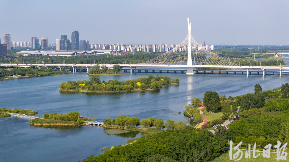 奋进的河北丨产业向绿 生态向美