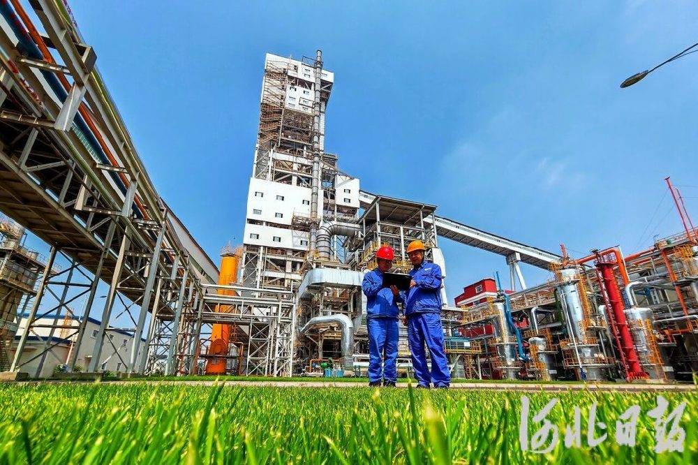 奋进的河北丨产业向绿 生态向美