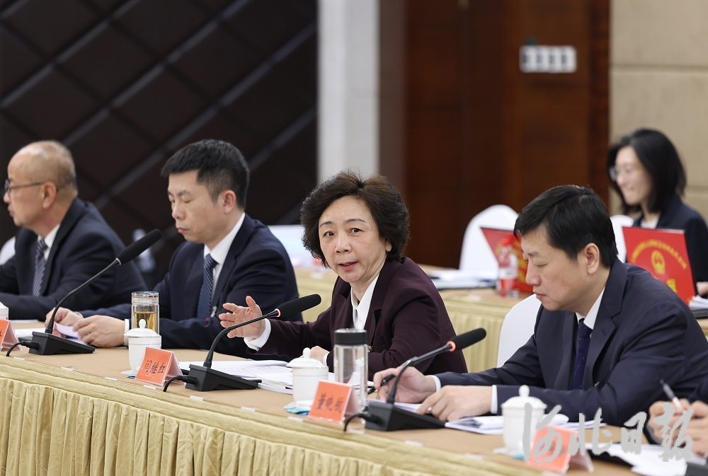 履职尽责显担当 笃行实干启新程——出席全国两会的河北省全国人大代表和住冀全国政协委员履职风采