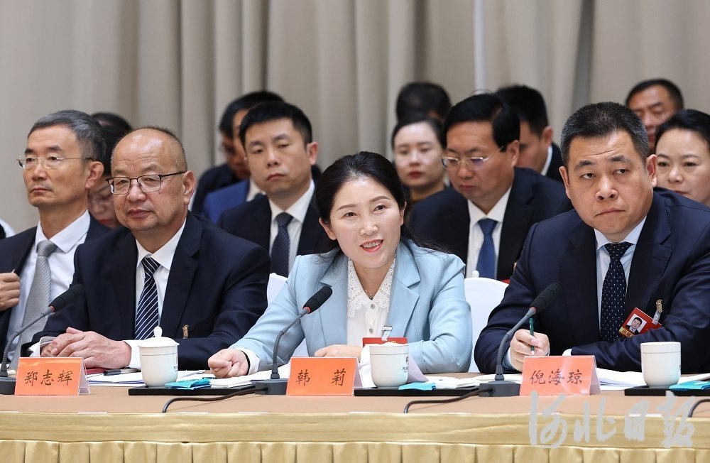 履职尽责显担当 笃行实干启新程——出席全国两会的河北省全国人大代表和住冀全国政协委员履职风采