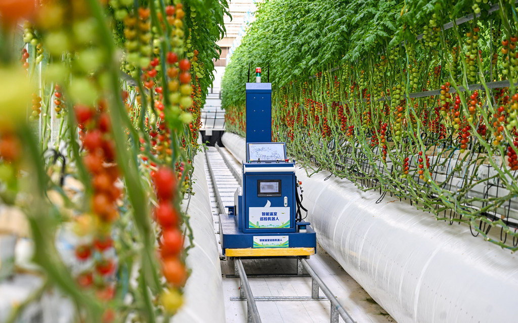 打卡河北雄安智慧农业科技园