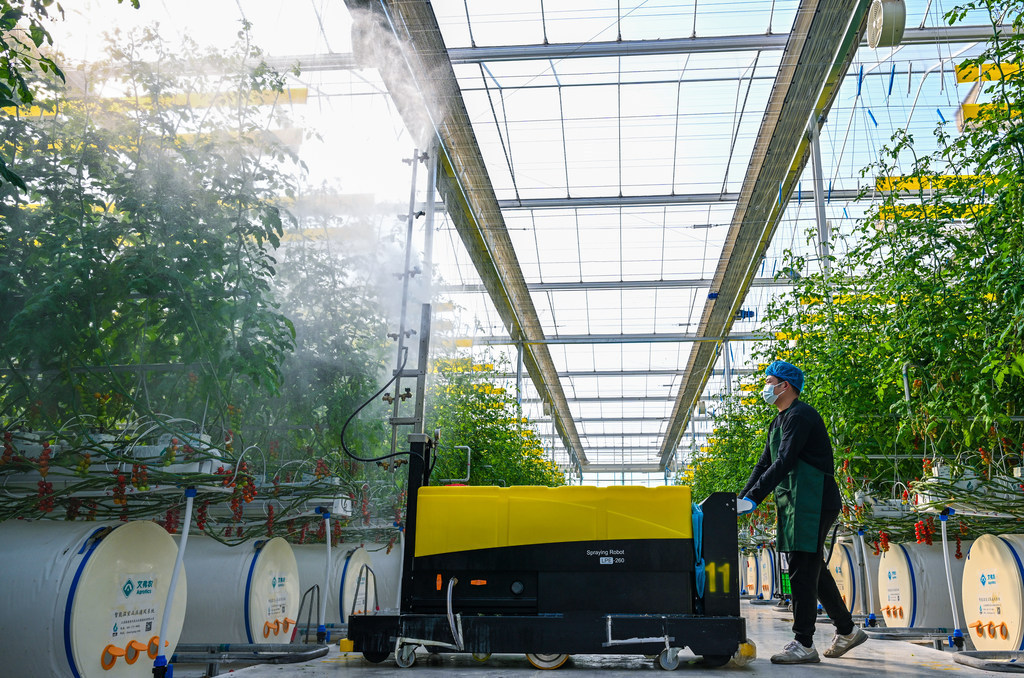 打卡河北雄安智慧农业科技园