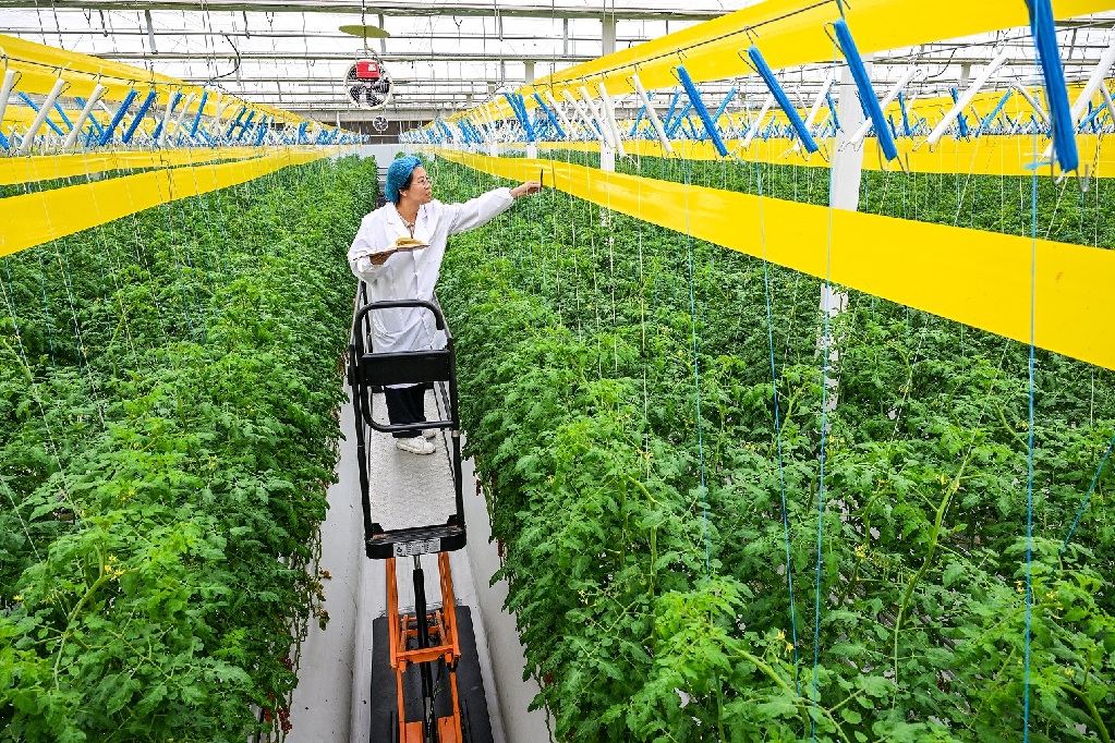 打卡河北雄安智慧农业科技园