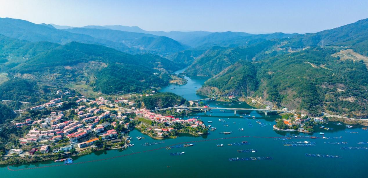 筑梦乡野 共绘振兴——福建闽台乡建乡创合作交流实践纪实