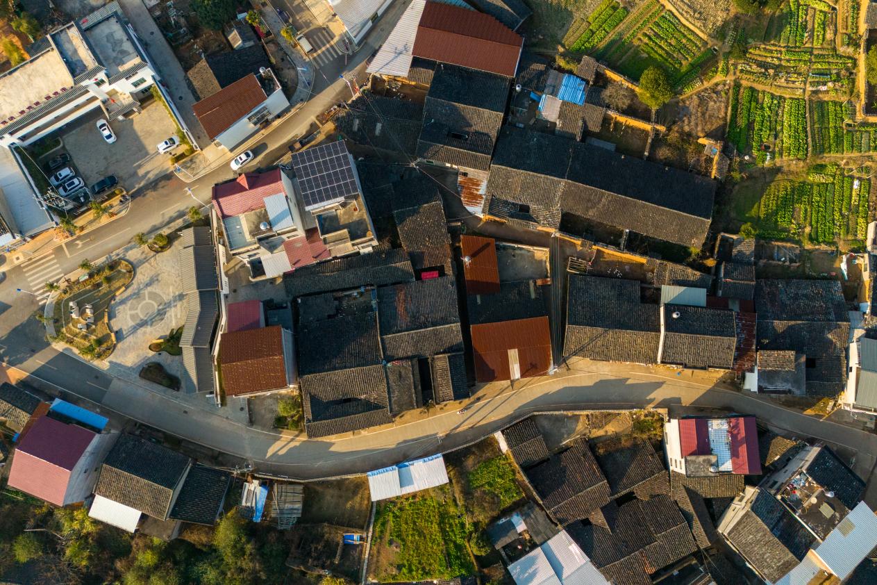 筑梦乡野 共绘振兴——福建闽台乡建乡创合作交流实践纪实