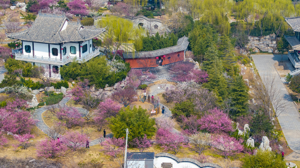 春到磁州 梅绽水墨