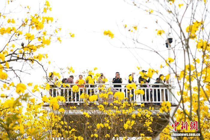 广西“春日经济”趋热 年轻人悦己养生乐“约拍”